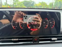 Trumpchi Leopard 400T Automatic R MAX - ფოტო 20