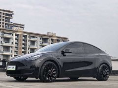 Tesla Model Y 2022 Performance All-Wheel Drive - ფოტო 1