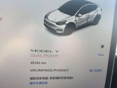 Tesla Model Y 2022 Performance All-Wheel Drive - ფოტო 15