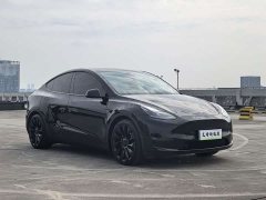 Tesla Model Y 2022 Performance All-Wheel Drive - ფოტო 2