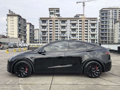 Tesla Model Y 2022 Performance All-Wheel Drive - ფოტო 5