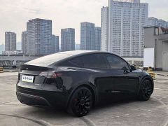 Tesla Model Y 2022 Performance All-Wheel Drive - ფოტო 7