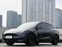 Tesla Model Y 2024 Rear-Wheel Drive - ფოტო 1
