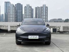 Tesla Model Y 2024 Rear-Wheel Drive - ფოტო 2