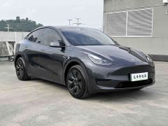 Tesla Model Y 2024 Rear-Wheel Drive - ფოტო 4