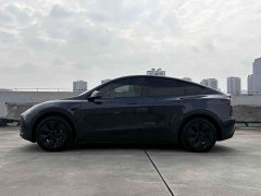 Tesla Model Y 2024 Rear-Wheel Drive - ფოტო 5