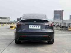 Tesla Model Y 2024 Rear-Wheel Drive - ფოტო 6