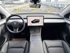 Tesla Model Y 2024 Rear-Wheel Drive - ფოტო 8