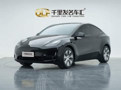 Tesla Model Y Long Range All-Wheel Drive - ფოტო 1