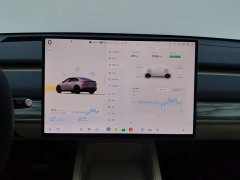 Nio Lerado L60 60kWh AWD - ფოტო 13