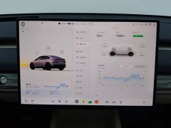 Nio Lerado L60 60kWh AWD - ფოტო 14
