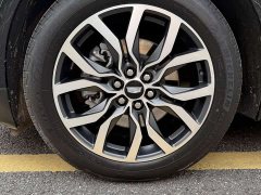 Cadillac XT5 2022 2.0T AWD Luxury Hummingbird Edition - ფოტო 15