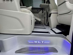 Great Wall WEY Shanshan New Energy Four-Wheel Drive Shanshan 8 - ფოტო 16
