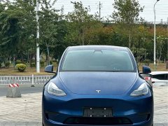 Tesla Model Y Rear-Wheel Drive - ფოტო 2