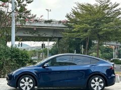 Tesla Model Y Rear-Wheel Drive - ფოტო 3