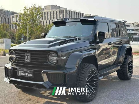 2024 Tank 300 2.0T Conqueror - ავტომობილი ჩინეთიდან