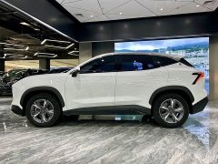 Jetour Jietu Dasheng 1.5T DCT Starlight PRO - ფოტო 8