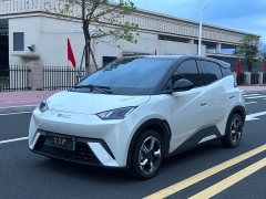 BYD Seagull Freedom Edition - ფოტო 1
