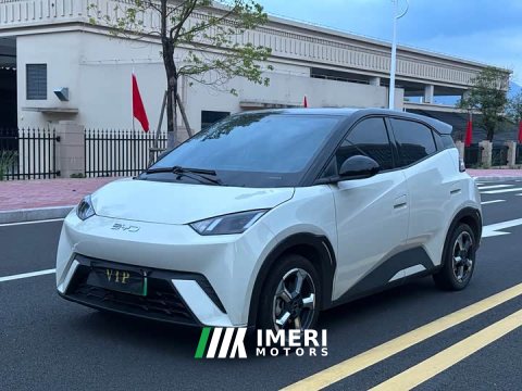 2023 BYD Seagull Freedom Edition - ავტომობილი ჩინეთიდან