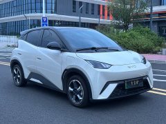 BYD Seagull Freedom Edition - ფოტო 3