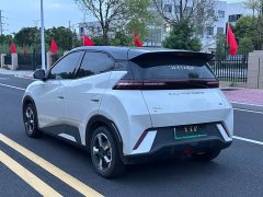 BYD Seagull Freedom Edition - ფოტო 7