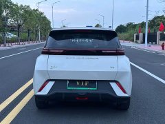 BYD Seagull Freedom Edition - ფოტო 8