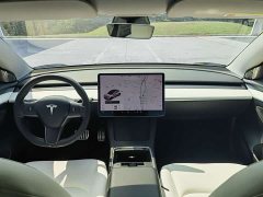 Tesla Model 3 Performance All-Wheel Drive - ფოტო 19