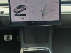 Tesla Model 3 Performance All-Wheel Drive - ფოტო 20
