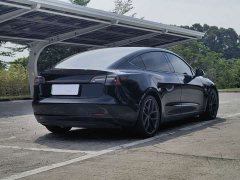 Tesla Model 3 Performance All-Wheel Drive - ფოტო 8