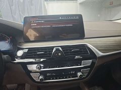 BMW 5 Series 530Li Premier Luxury Package - ფოტო 13