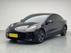 Tesla Model 3 Facelift Standard Range RWD Upgrade 3D1 - ფოტო 1
