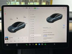 Tesla Model 3 Facelift Standard Range RWD Upgrade 3D1 - ფოტო 15