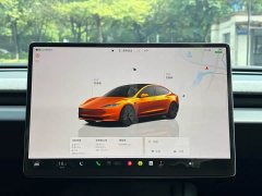 Tesla Model 3 2023 Rear-Wheel Drive - ფოტო 18