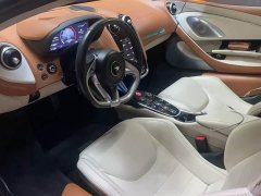 McLaren GT 2019 MSO - ფოტო 3
