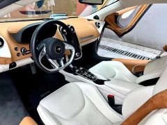 McLaren GT 2019 MSO - ფოტო 4