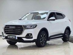 Haval H6 2021 National Trend Edition 1.5T Automatic Urban Version - ფოტო 1