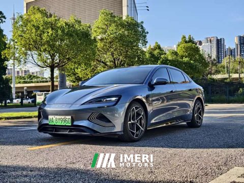 2023 BYD Dolphin 700km Long Range Rear-Wheel Drive - ავტომობილი ჩინეთიდან