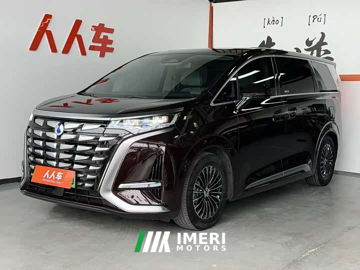 Denza D9 2024 DM-i 980 four-wheel drive premium