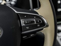 GAC Aion M8 2021 Master Series 390T Four-Seat Royal Edition - ფოტო 10