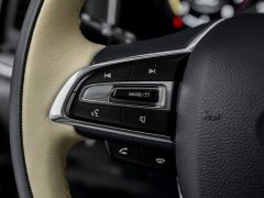 GAC Aion M8 2021 Master Series 390T Four-Seat Royal Edition - ფოტო 9