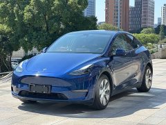 Tesla Model Y Long Range All-Wheel Drive - ფოტო 1