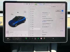 Tesla Model Y Long Range All-Wheel Drive - ფოტო 16