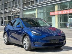 Tesla Model Y Long Range All-Wheel Drive - ფოტო 3