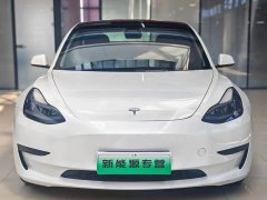 Tesla Model 3 Standard Range RWD Upgrade 3D6 - ფოტო 1