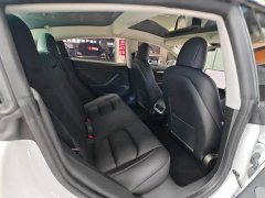 Tesla Model 3 Standard Range RWD Upgrade 3D6 - ფოტო 15
