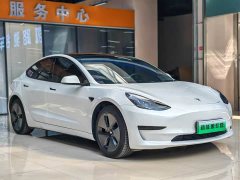 Tesla Model 3 Standard Range RWD Upgrade 3D6 - ფოტო 2