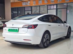 Tesla Model 3 Standard Range RWD Upgrade 3D6 - ფოტო 6