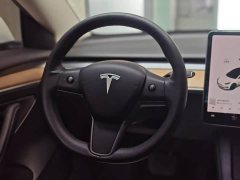 Tesla Model 3 Standard Range RWD Upgrade 3D6 - ფოტო 9