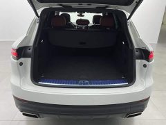 Porsche Cayenne New Energy Cayenne E-Hybrid 2.0T - ფოტო 3