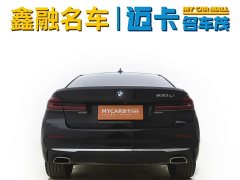 BMW 5 Series 530Li Luxury M Sport Package - ფოტო 6